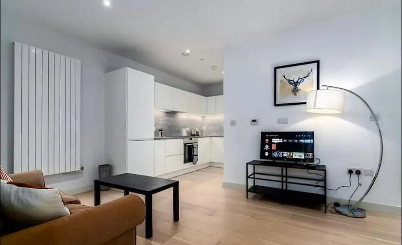 Contemporary Apartment Overlooking Barrier Park London Homestay